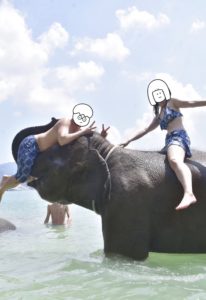 プーケットのビーチで象乗り体験