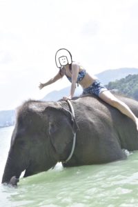 プーケットのビーチで象乗り体験